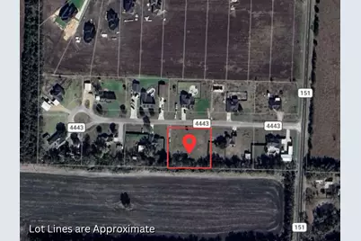 271 County Road 4443, Trenton, TX 75490 - Photo 11