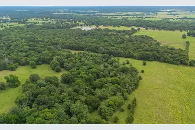 Tbd County Road 4209, Campbell, TX 75422 - Photo 5