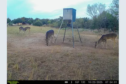 2417 Fm 569 Highway, Cisco, TX 76437 - Photo 25