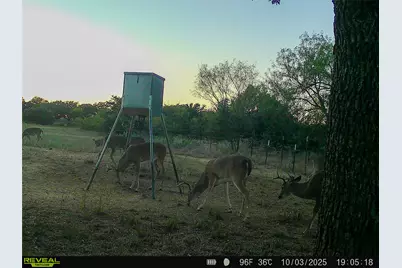 2417 Fm 569 Highway, Cisco, TX 76437 - Photo 7