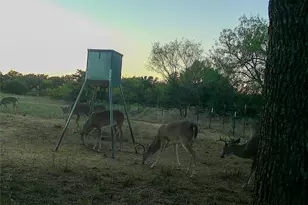 2417 Fm 569 Hwy, Cisco, TX 76437 - Photo 7
