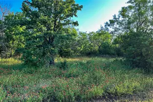 2417 Fm 569 Hwy, Cisco, TX 76437 - Photo 9