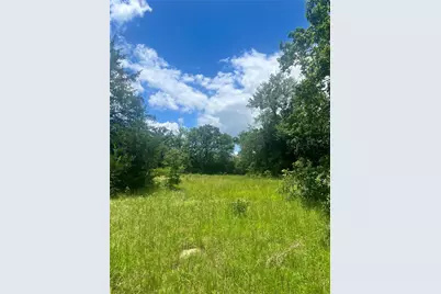 Tbd Fm 39, Groesbeck, TX 76642 - Photo 5