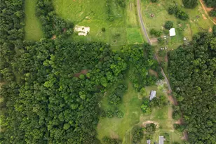 519 An County Rd 450, Palestine, TX 75803 - Photo 25
