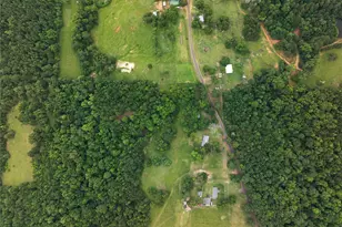 519 An County Rd 450, Palestine, TX 75803 - Photo 31