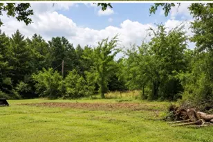 5533 W State Hwy 243, Canton, TX 75103 - Photo 5