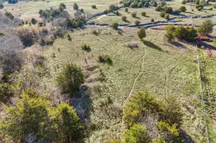 2160 Co Rd 658, Farmersville, TX 75442 - Photo 1