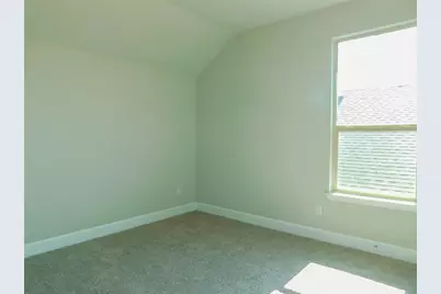 1021 Pitch Pine Street, Hickory Creek, TX 75065 - Photo 23