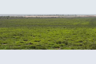 Tbd County Road 3, , TX 79061 - Photo 3