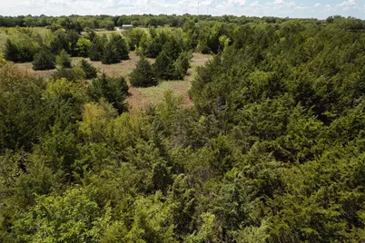 40 Acres Turner Road, Bells, TX 75414 - Photo 7