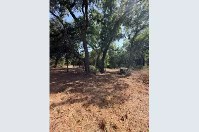 2305 County Road 425C, Cleburne, TX 76031 - Photo 23