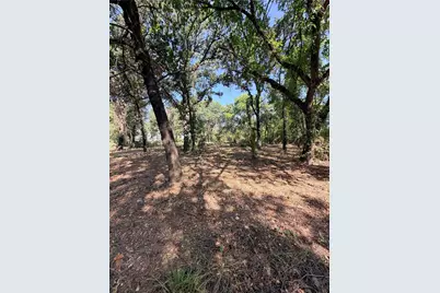 2305 County Road 425C, Cleburne, TX 76031 - Photo 29