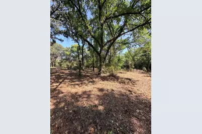 2305 County Road 425C, Cleburne, TX 76031 - Photo 31