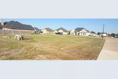 270 Poinsetta Drive, Palmer, TX 75152 - Photo 3