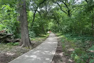 817 Sterling Ct, Allen, TX 75002 - Photo 25