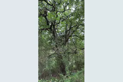 Tbd Lcr 786, Thornton, TX 76687 - Photo 25