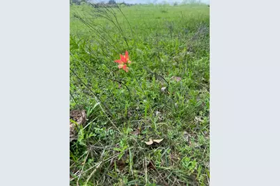 Tbd Lcr 786, Thornton, TX 76687 - Photo 13