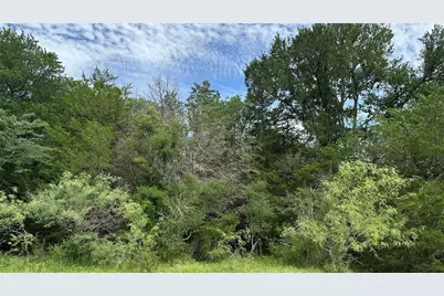 Tbd Lcr 786, Thornton, TX 76687 - Photo 27