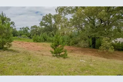 18304 Timber Oaks Drive, Hideaway, TX 75771 - Photo 13