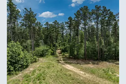 16210 State Highway 110 N, Lindale, TX 75771 - Photo 3