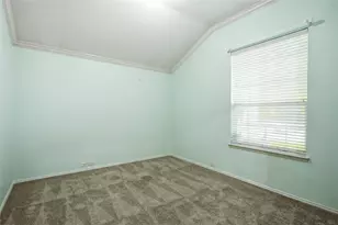 437 Niagara Falls Dr, Anna, TX 75409 - Photo 7