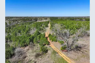 421 Cr 3875, Mineola, TX 75773 - Photo 5