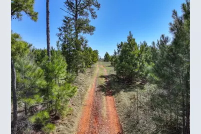 421 Cr 3875, Mineola, TX 75773 - Photo 3