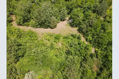 Tbd 35 +/- Ac Vz County Road 4814, Ben Wheeler, TX 75754 - Photo 5