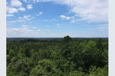 Tbd 35 +/- Ac Vz County Road 4814, Ben Wheeler, TX 75754 - Photo 7