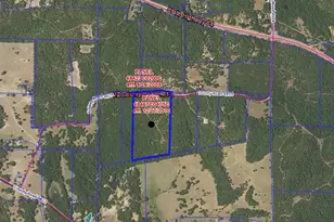 Tbd 35 +/- Ac Vz County Road 4814, Ben Wheeler, TX 75754 - Photo 1