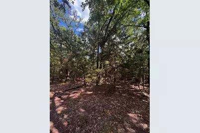 Tbd Woodland Estates Road, Terrell, TX 75160 - Photo 21
