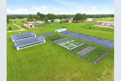 4020 Fm 515, Emory, TX 75440 - Photo 9