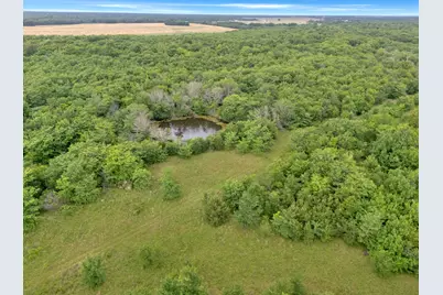Tract 9 County Road 2158, Cooper, TX 75432 - Photo 7