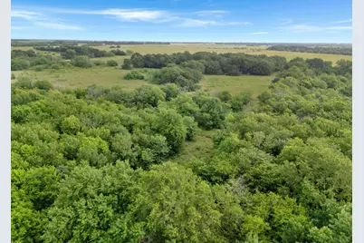Tract 9 County Road 2158, Cooper, TX 75432 - Photo 13