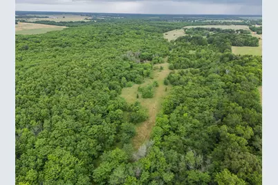 Tract 9 County Road 2158, Cooper, TX 75432 - Photo 5