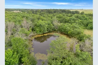Tract 9 County Road 2158, Cooper, TX 75432 - Photo 9