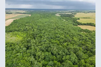 Tract 9 County Road 2158, Cooper, TX 75432 - Photo 3