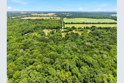 4587 County Road 4415, Wolfe City, TX 75496 - Photo 11