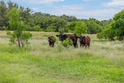 000 County Road 267, Early, TX 76802 - Photo 19