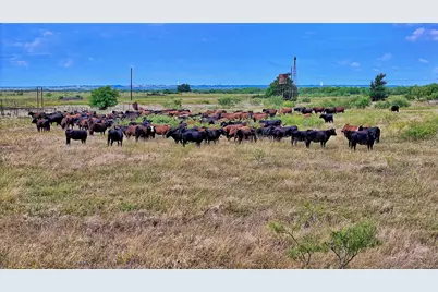 576 Seabourn Rd, Henrietta, TX 76365 - Photo 21