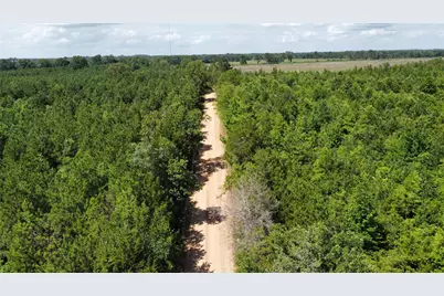 Lot 3 County Road 4507, De Kalb, TX 75559 - Photo 5