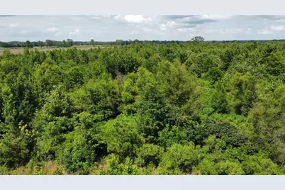 Lot 1 County Road 4507, De Kalb, TX 75559 - Photo 5
