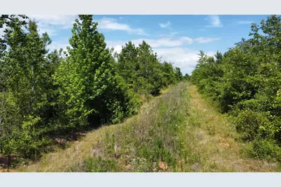 Tbd County Road 4507, De Kalb, TX 75559 - Photo 9