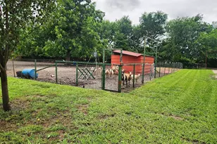 1664 Co Rd 4925, Trenton, TX 75490 - Photo 11