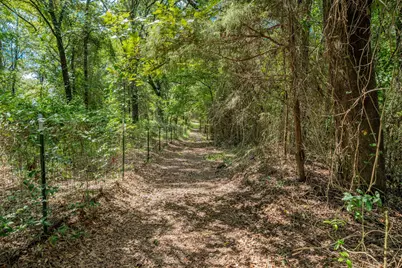 815 Vz County Road 4409, Ben Wheeler, TX 75754 - Photo 39