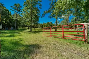 815 Vz County Rd 4409, Ben Wheeler, TX 75754 - Photo 5
