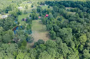 815 Vz County Rd 4409, Ben Wheeler, TX 75754 - Photo 37