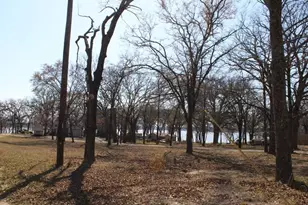 8085 Lakeview Dr, Quinlan, TX 75474 - Photo 9
