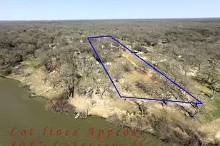 8087 Lakeview Dr, Quinlan, TX 75474 - Photo 9