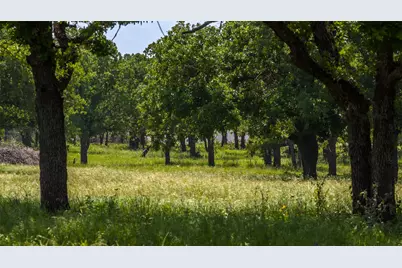 Tbd County Road 126, Gordon, TX 76453 - Photo 3
